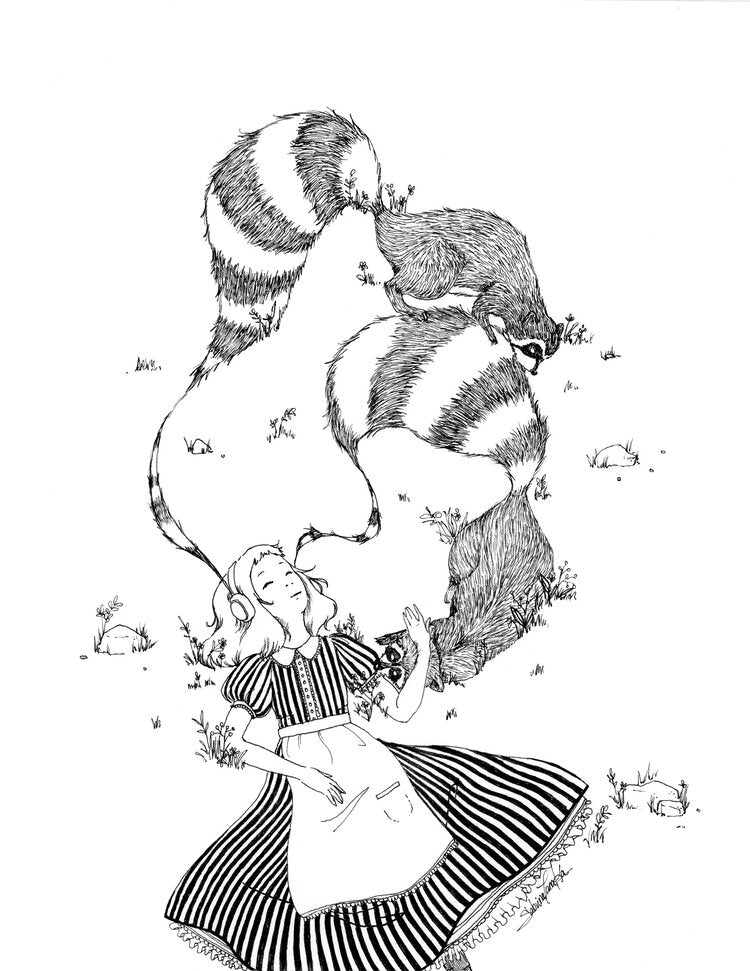 Raccoon