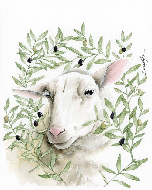 Lamb