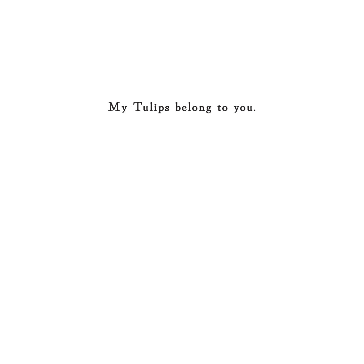 My Tulips belong to you (Wholesale)