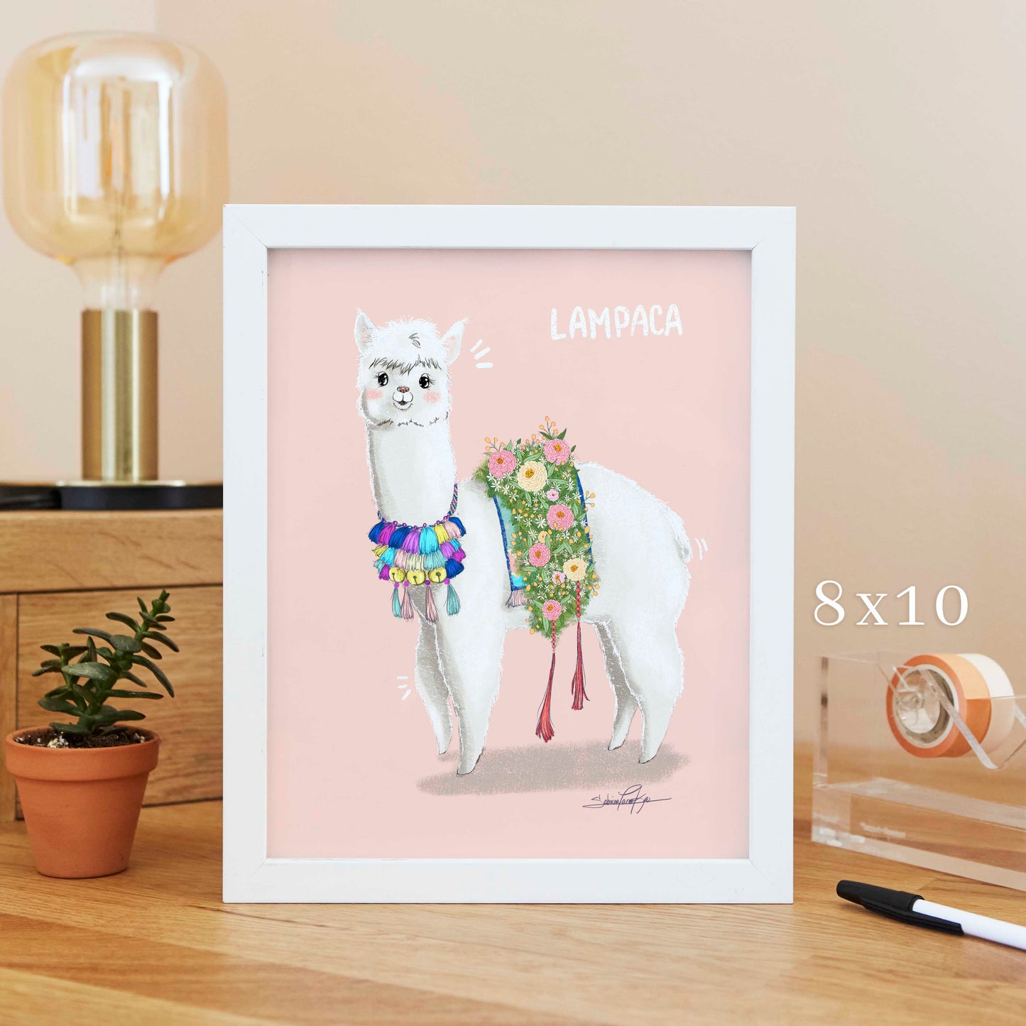 Lampaca