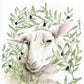 Lamb