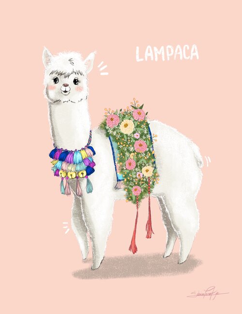 Lampaca